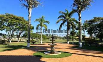 Imagem: Haras em Quadra