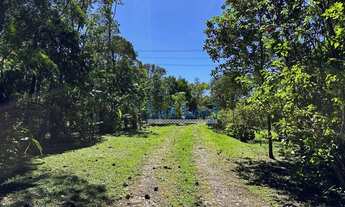 Imagem: Área à venda para COMPENSAÇÃO AMBIENTAL