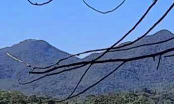 Imagem 5: Vendo lindo Lote/Terreno com RGI