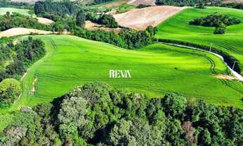 Imagem 3: Terreno para chácara com 30.000 de area de plantio