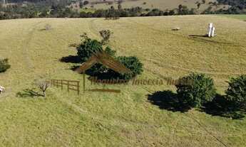 Imagem 6: Fazenda com 51 alqueires, estrutura para leiteria