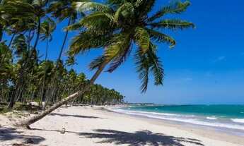 Imagem: APT DE ALTO PADRÃO À BEIRA-MAR DE CARNEIROS