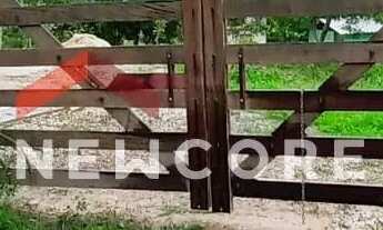 Imagem 4: Sítio em Ç - Redentor (Melo Viana) - Esmeraldas/MG