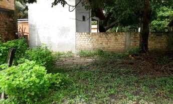 Imagem 2: Lote na Ilha de Algodoal-Pa a 300 mts da praia