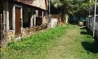 Imagem 3: Lote na Ilha de Algodoal-Pa a 300 mts da praia