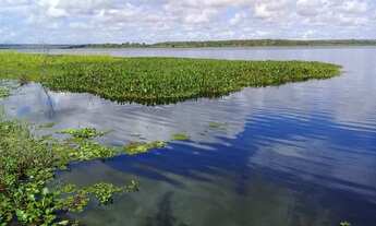 Imagem 3: Excelente área de terra às margens da represa das de Pedra do Cavalo