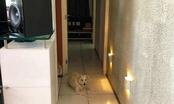 Imagem 2: 77m2 2vagas d1138 liga 9 8 7 4 8 3 1 0 8 Diego9989f santiagoe compostela