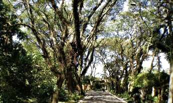 Imagem 4: Cond. Vila Vianna - 4 Lotes à venda!