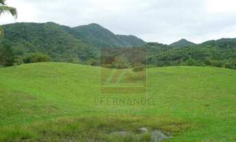 Imagem: Blumenau - Chácara - Nova Russia