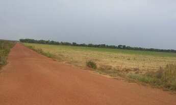 Imagem: 360 Alq. Dueré-TO. ( c/ Lavoura Irrigada