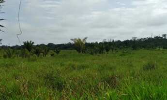 Imagem 2: Terra em Roraima
