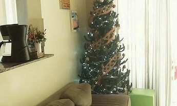 Imagem: Casa de 2 quartos em Citrópolis - Japeri