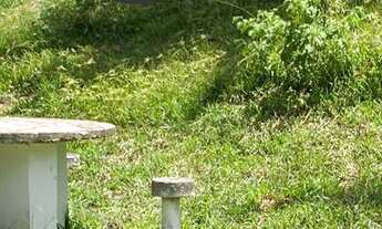 Imagem 2: MEGA OPORTUNIDADE ?