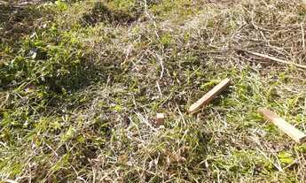 Imagem 3: Lotes para Construção