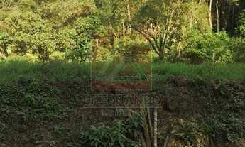 Imagem: Luiz Alves - Terreno Padrão - Centro