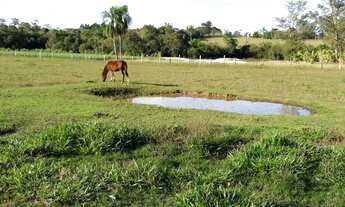 Imagem 7: Espetacular Sítio na 239 em Araricá, área NOBRE