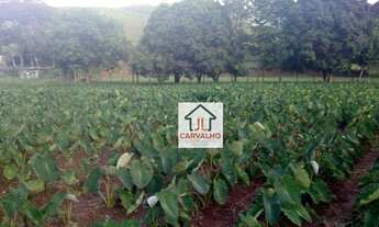 Imagem 3: Ótimo tereno em em Barra Alegre