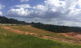 Imagem 3: Loteamento na principal avenida do turismo