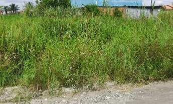 Imagem 2: Terreno Grande com 15m de frente por um ótimo preço - Balneário Yemar