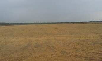 Imagem 6: 360 Alq. Dueré-TO. ( c/ Lavoura Irrigada + Sequeiro