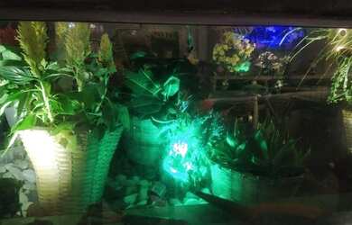 Imagem 4: Apartamento na Pituba