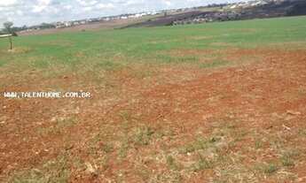 Imagem 7: Área Rural para Venda em Cambé, ÁREA RURAL