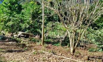 Imagem 7: Chácara à venda em Rolante de 3 hectares !!