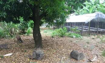 Imagem 5: Terreno / Área à venda, Santa Terezinha - Belo Horizonte/MG