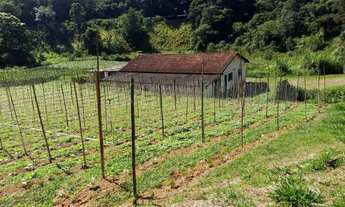 Imagem 6: Sítio para Venda em Teresópolis, Fazenda Boa Fé, 6 dormitórios, 2 suítes, 4 banheiros, 10