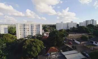 Imagem 4: Maringá - Apartamento - Jardim Alvorada