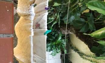 Imagem 5: Apartamento para Venda - 73.26m², 2 dormitórios, Menino Deus