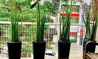 Imagem 5: APARTAMENTO - JARDIM AMÉRICA - SP