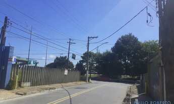 Imagem 3: GALPÃO - VILA MARLENE - SP