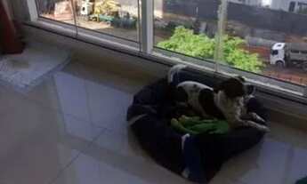 Imagem 5: APARTAMENTO - BROOKLIN - SP