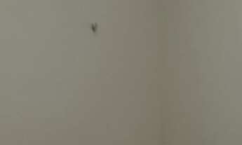 Imagem 6: Aluga-se Casa Lourival Parente