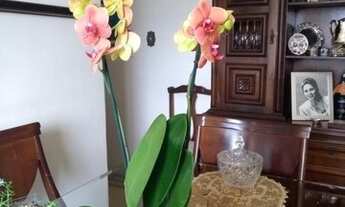 Imagem 6: Próx ao metrô Vila Mariana