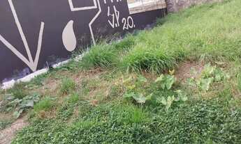 Imagem 5: TERRENO COMERCIAL em SÃO PAULO - SP, VILA PROGREDIOR