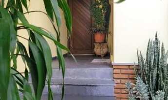 Imagem 4: CASA TÉRREA - UMUARAMA - SP