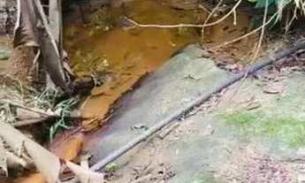 Imagem 5: Sítio com 2 Hectares, Localizado a meia hora da Serra-ES. Aceito Entrada