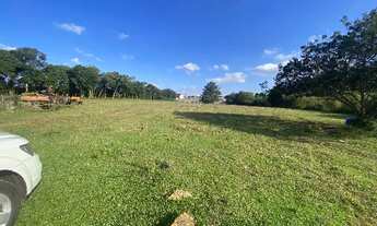 Imagem 7: Alugo excelente área comercial plana no Rio Pequeno com 11.800 m2