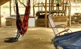 Imagem 5: Sítio em Rosário Oeste - MT