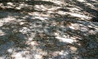 Imagem 3: Casa Condominio para Venda - 310m², 4 dormitórios, sendo 4 suites, 3 vagas - Tristeza