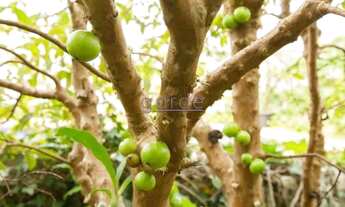 Imagem 7: Cobertura 28º andar - Vila Olimpia