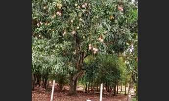 Imagem 3: Chácara para Venda em Bela Vista de Goiás, Zona Rural, 6 dormitórios, 3 suítes, 4 banheiro