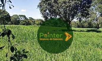 Imagem 4: Fazenda à venda, 532400 m² por R$ 4.500.000,00 - Zona Rural - Caldazinha/GO