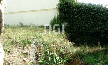 Imagem 6: Terreno em Tristeza