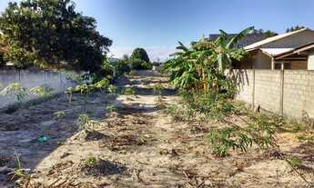 Imagem: 2 lotes e meio Minotauro