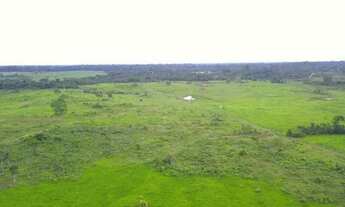 Imagem: Fazenda 204 hc em rorainopolis