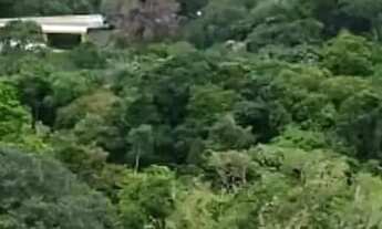 Imagem 3: Ilhas Gregas Ponta Negra