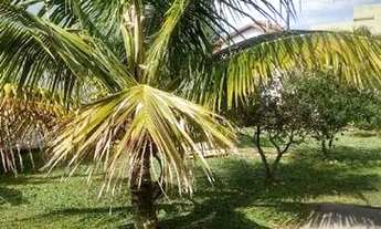 Imagem 7: Casa com 4 dormitórios à venda, 220 m² por R$ 890.000,00 - Ingleses - Florianópolis/SC